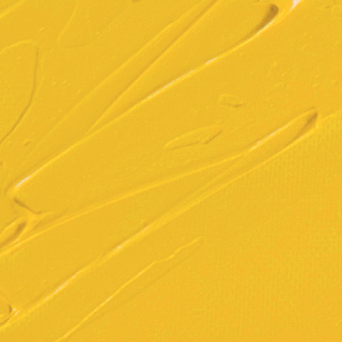 STUDIO FINE XL OIL - AUREOLINE(49)